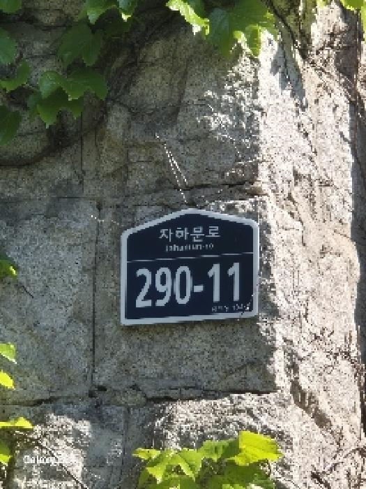 2025타경102572 대지 · 서울특별시 종로구 홍지동 104-3