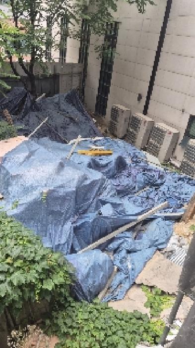 2025타경102796 대지 · 서울특별시 중구 신당동