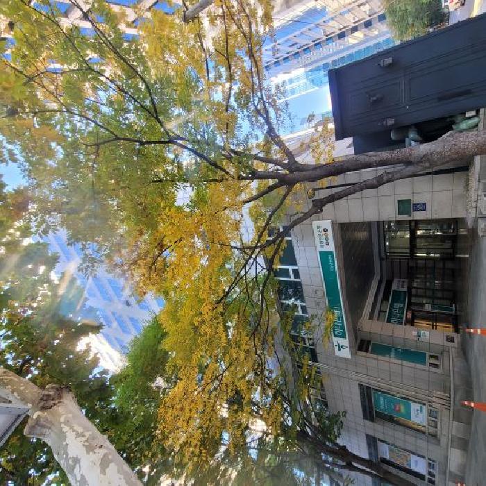 2025타경104177 상가근린 · 서울특별시 강남구 삼성로