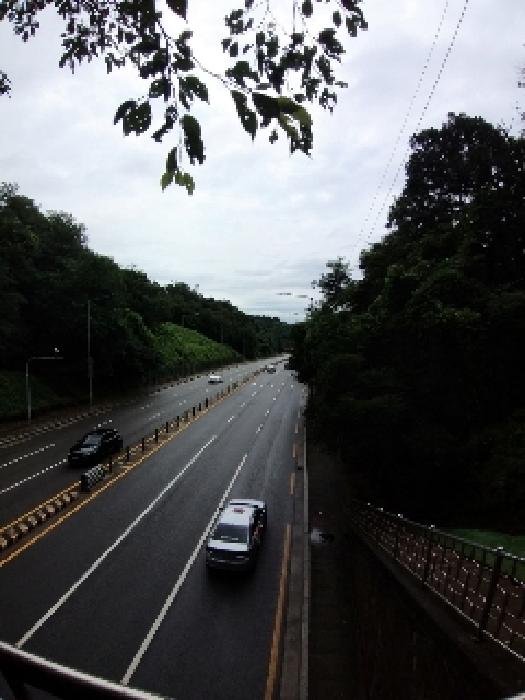 2025타경10530 임야 · 서울특별시 구로구 궁동