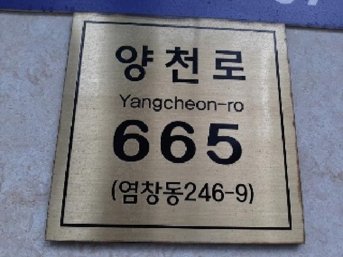 2025타경11381 다세대연립 · 서울특별시 강서구 양천로
