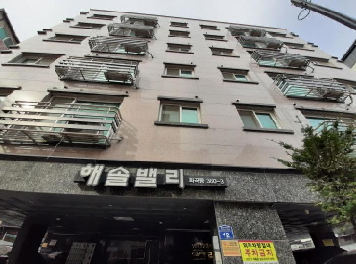 2025타경12175 다세대연립 · 서울특별시 강서구 월정로28가길