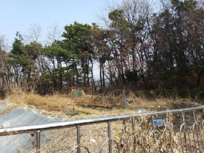 2025타경8982 대지 · 서울특별시 강서구 화곡동 42-18
