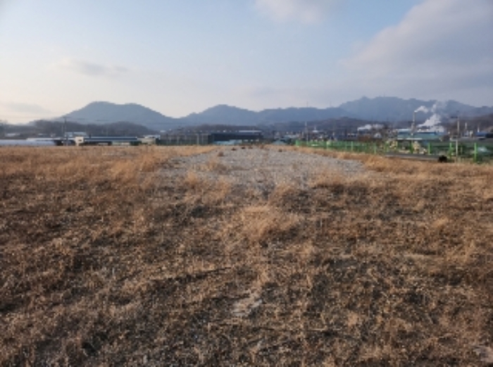 2023타경7648 임야 · 강원특별자치도 철원군 갈말읍 군탄리 산77-1