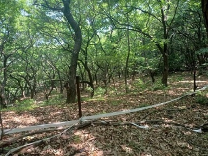 2024타경78081 임야 · 경기도 의정부시 산곡동 산64-3