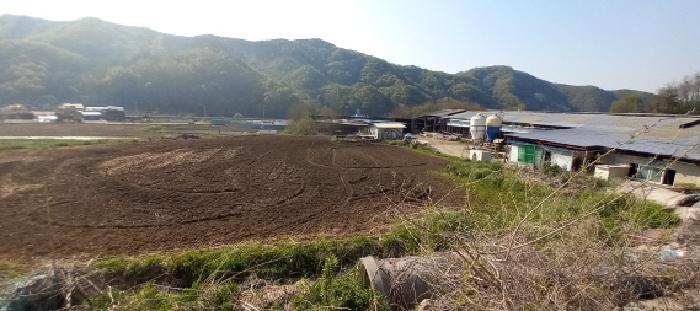 2025타경1477 대지 · 경기도 연천군 전곡읍