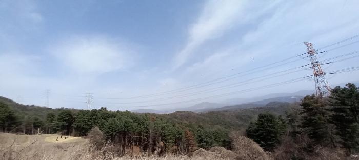 2025타경70206 대지 · 경기도 포천시 신북면