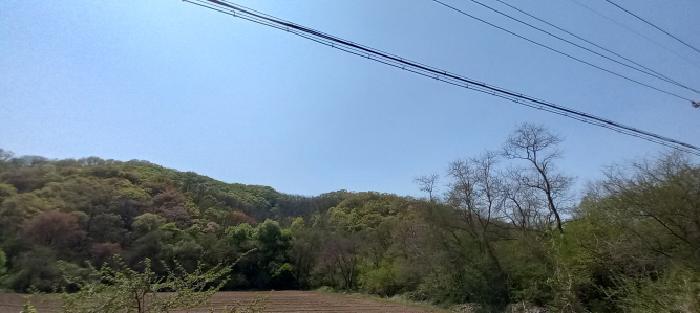 2025타경72041 임야 · 경기도 연천군 신서면