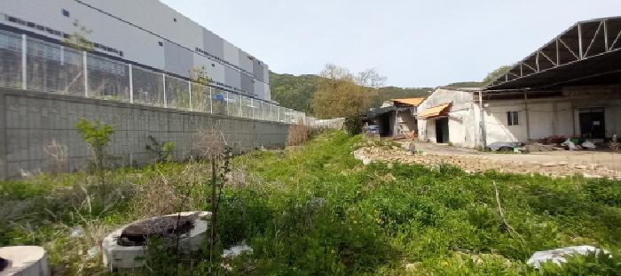 2025타경72194 · 경기도 포천시 설운동 480-6
