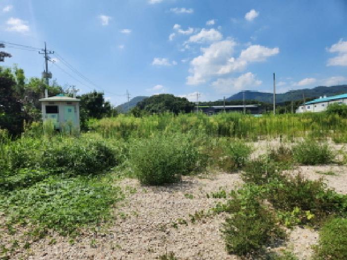 2025타경72925 · 경기도 양주시 남면 한산리 281-5