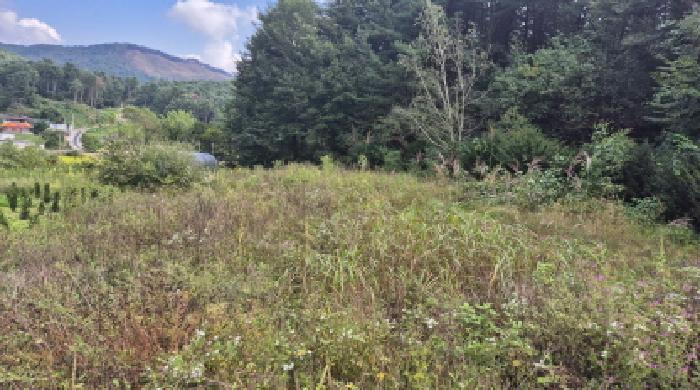 2025타경73104 대지 · 경기도 포천시 신북면