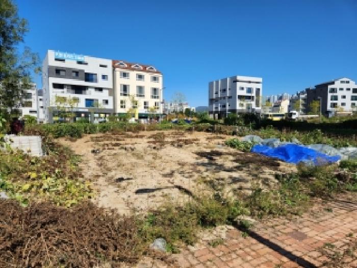 2025타경73331 대지 · 경기도 양주시 고암동