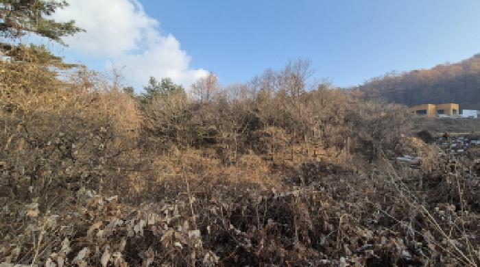 2025타경73623 임야 · 경기도 포천시 내촌면