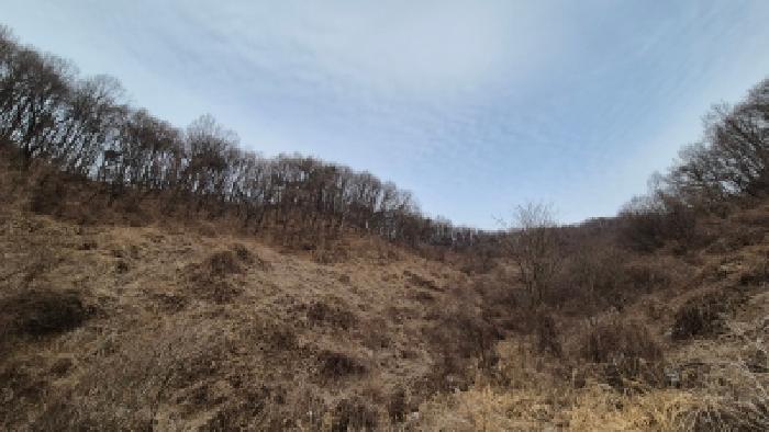 2025타경73885 임야 · 경기도 연천군 군남면 선곡리 산96-2