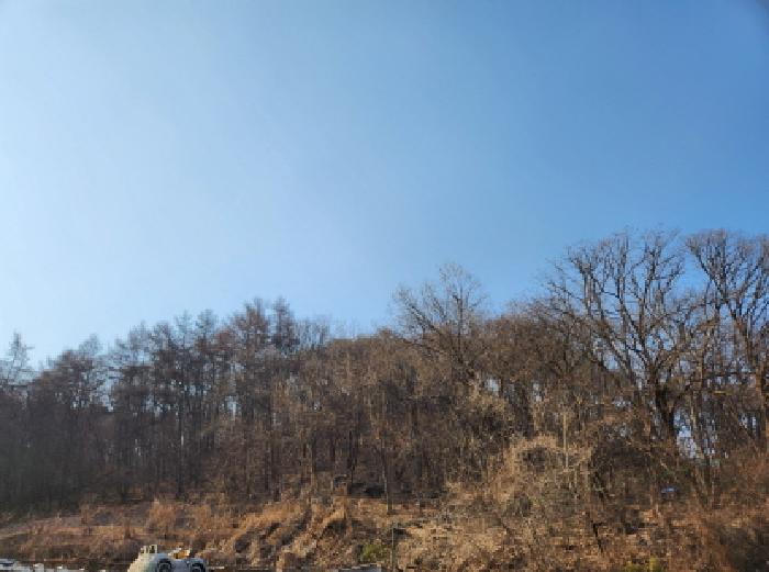 2025타경764 임야 · 경기도 양주시 남면