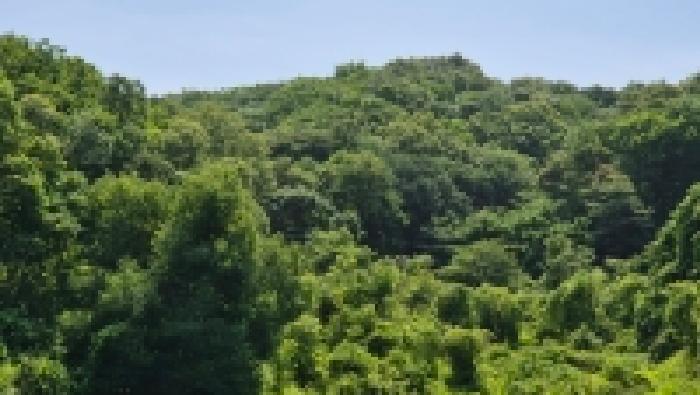 2026타경71146 임야 · 경기도 연천군 신서면 답곡리 산8