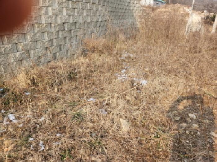 2024타경17153 임야 · 인천광역시 강화군 삼산면