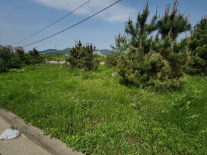 2024타경519208 대지 · 인천광역시 중구 운남동 1747-8
