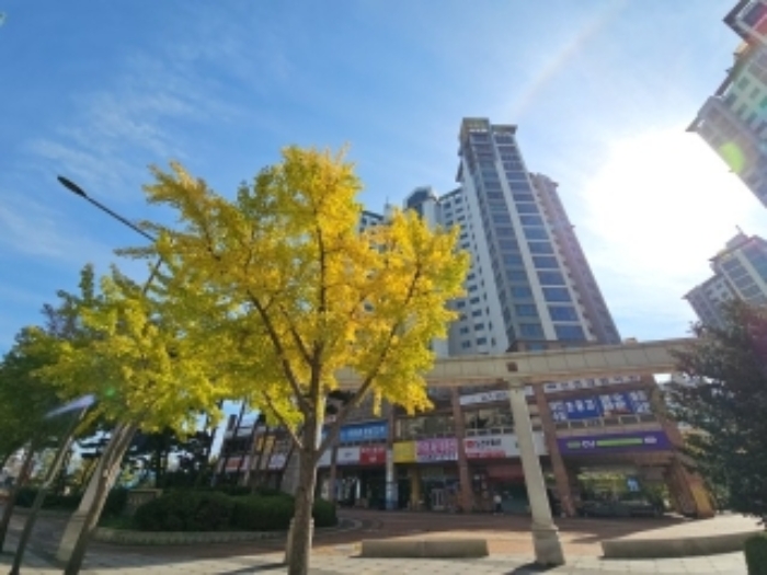 2024타경562752 상가근린 · 인천광역시 계양구 아나지로 332 102동 2층206호 (작전동,계양 우림카이저팰리스 1단