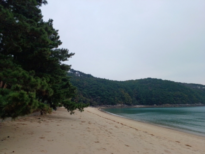 2024타경566921 임야 · 인천광역시 옹진군 덕적면