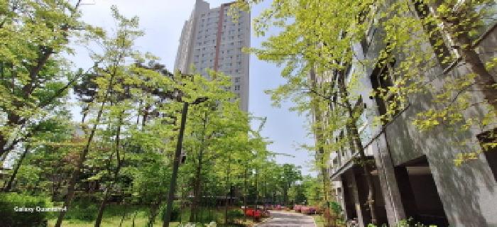 2025타경1035 상가근린 · 인천광역시 서구 청라커낼로