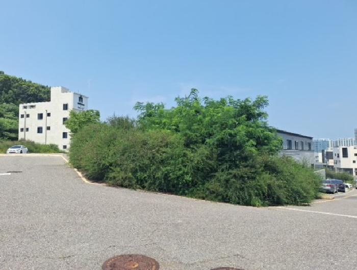2025타경1282 대지 · 인천광역시 중구 운서동 3118-5