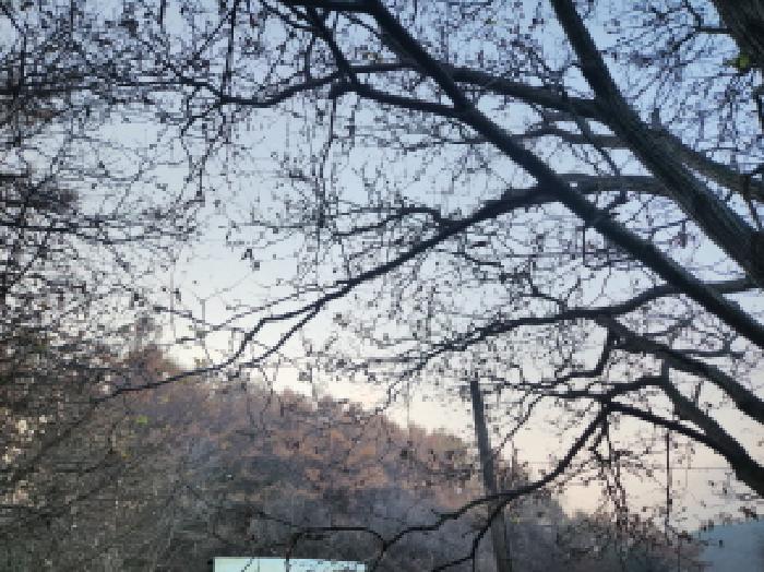 2025타경1730 임야 · 인천광역시 강화군 불은면 두운리 산256