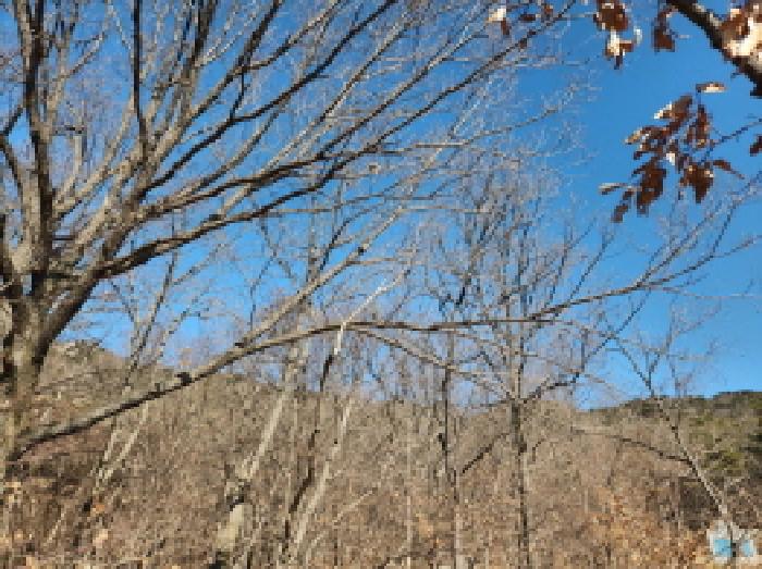 2025타경502061 임야 · 인천광역시 강화군 삼산면