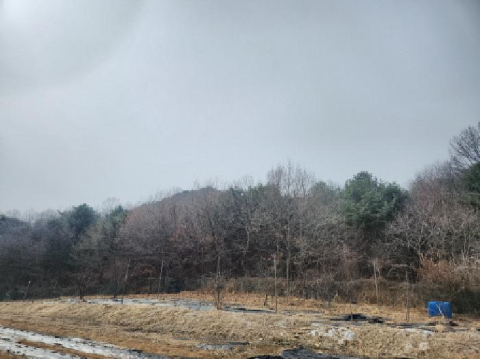 2025타경507936 임야 · 인천광역시 강화군 양사면 철산리 90-26