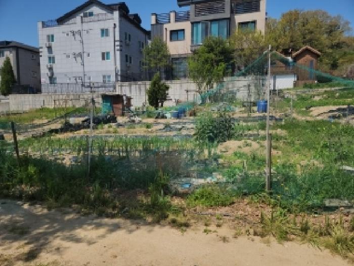 2025타경508744 대지 · 인천광역시 중구 운남동