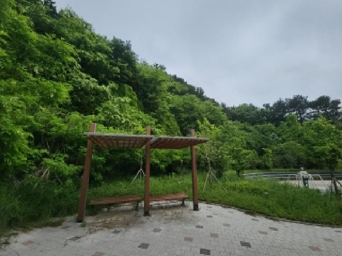 2025타경508968 임야 · 인천광역시 연수구 동춘동 산65-16