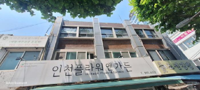 2025타경509984 대지 · 인천광역시 미추홀구 도화동 430-27