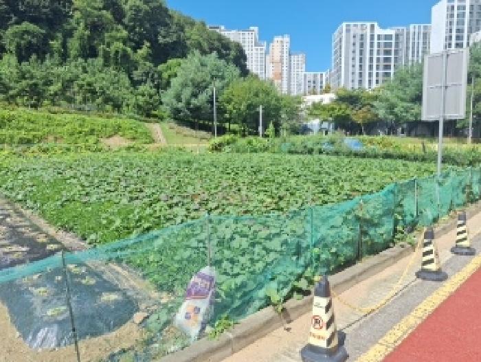 2025타경511650 대지 · 인천광역시 중구 중산동 1908-4