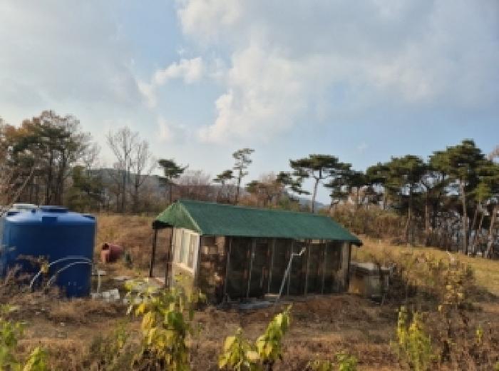 2025타경513874 임야 · 인천광역시 옹진군 영흥면 내리 572-9