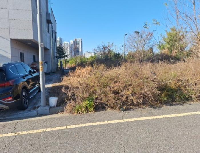 2025타경514119 대지 · 인천광역시 중구 운남동 1689-6