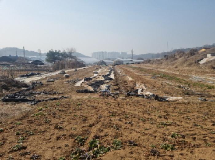 2025타경815 · 인천광역시 남동구 운연동 100