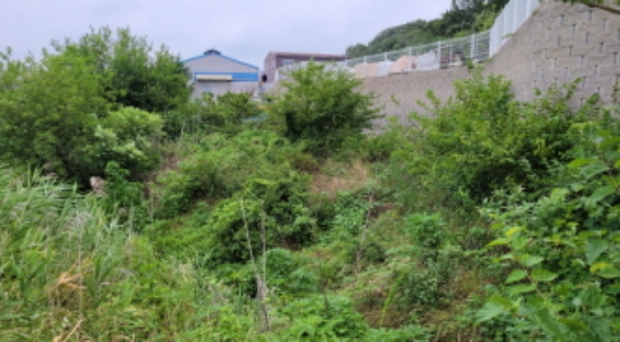 2024타경3089 · 경기도 김포시 대곶면 대벽리 233