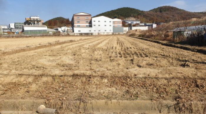 2025타경34863 전답 · 경기도 김포시 하성면