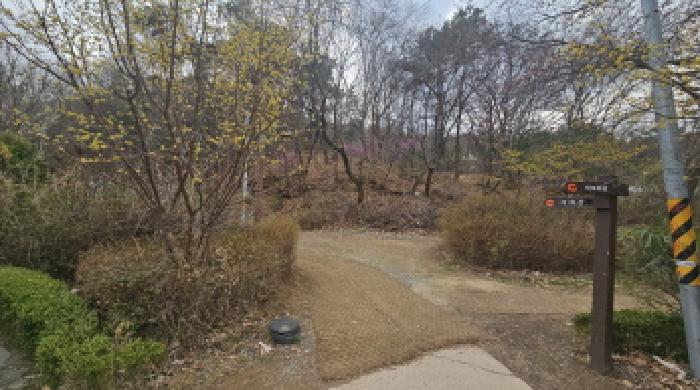 2026타경30603 임야 · 경기도 부천시 소사구 송내동 산37-5