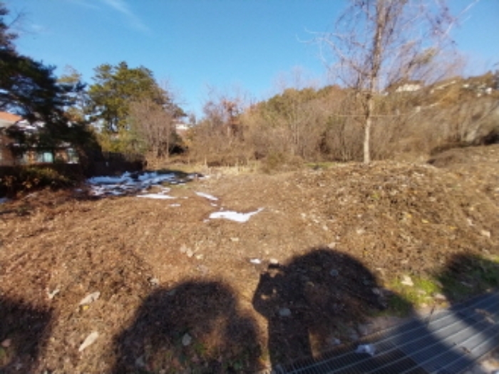2024타경99558 임야 · 경기도 용인시 기흥구 고매동 261-7