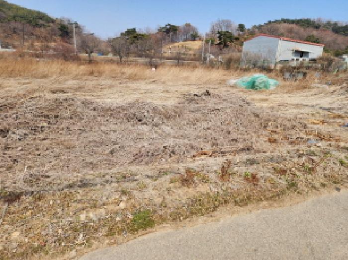 2025타경54747 대지 · 경기도 화성시 서신면