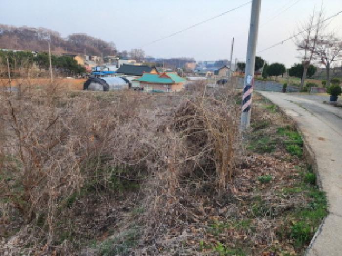 2025타경54954 대지 · 경기도 화성시 우정읍 한각리 381-1