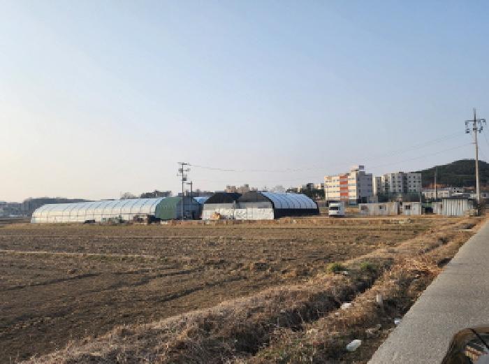 2025타경55249 대지 · 경기도 화성시 팔탄면