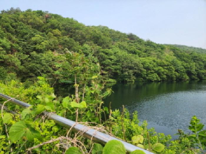 2025타경56093 임야 · 경기도 수원시 장안구 하광교동 산15