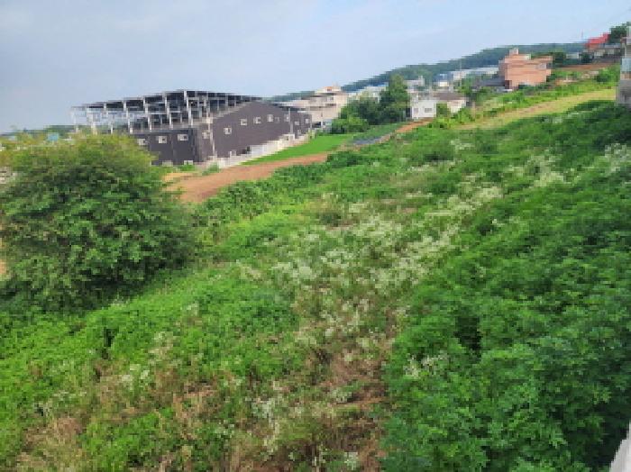 2025타경56345 · 경기도 화성시 장안면 독정리 558-2