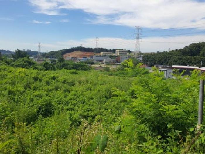 2025타경56829 임야 · 경기도 화성시 향남읍 제암리 370