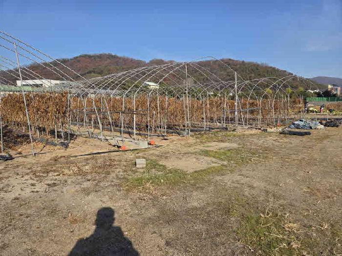 2025타경58699 · 경기도 용인시 처인구 백암면 박곡리 741