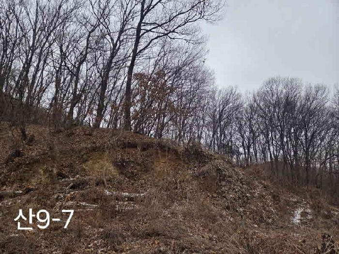2025타경59287 임야 · 경기도 용인시 기흥구 동백동 산9-7