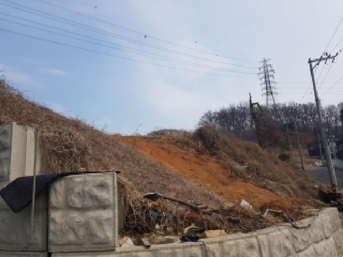 2026타경130 임야 · 경기도 화성시 만세구 향남읍 증거리 산12-1