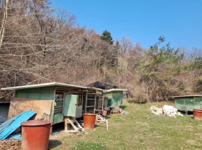 2025타경51840 임야 · 경기도 광주시 곤지암읍 장심리 산59-1